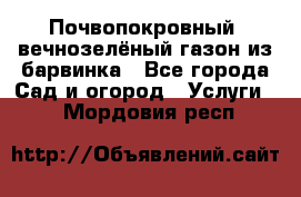 Почвопокровный, вечнозелёный газон из барвинка - Все города Сад и огород » Услуги   . Мордовия респ.